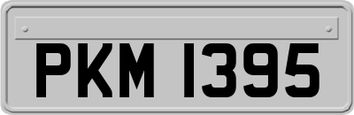 PKM1395