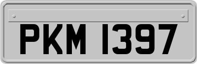 PKM1397