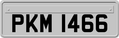 PKM1466