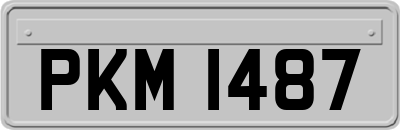 PKM1487