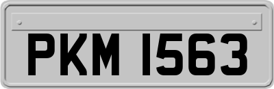 PKM1563