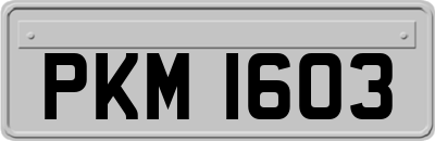 PKM1603