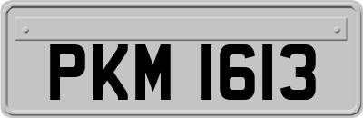 PKM1613