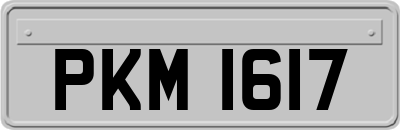 PKM1617