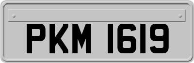 PKM1619