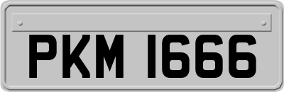 PKM1666