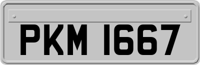 PKM1667