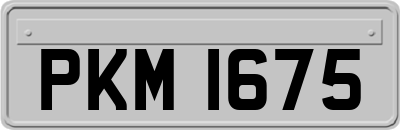 PKM1675