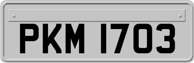 PKM1703