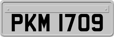 PKM1709