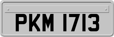 PKM1713
