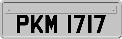 PKM1717