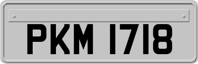 PKM1718