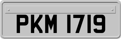 PKM1719