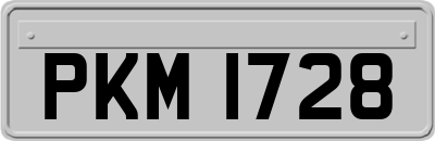 PKM1728