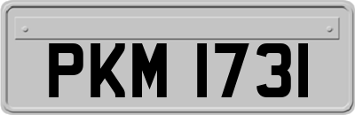 PKM1731