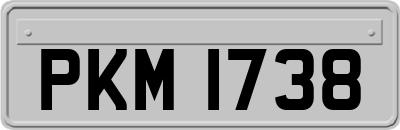 PKM1738