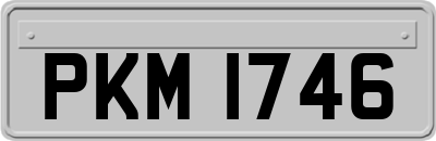PKM1746