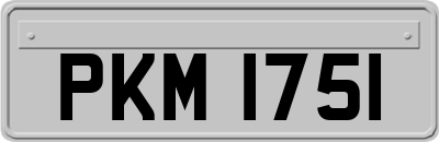PKM1751