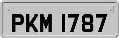 PKM1787