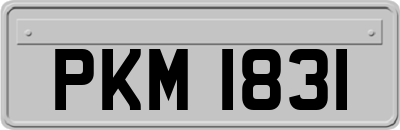 PKM1831