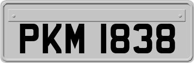PKM1838