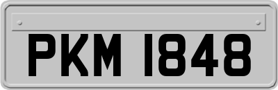 PKM1848