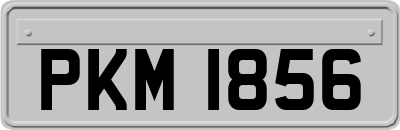 PKM1856