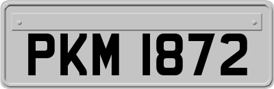 PKM1872