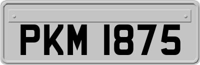 PKM1875