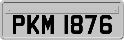 PKM1876