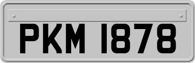PKM1878