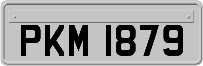 PKM1879