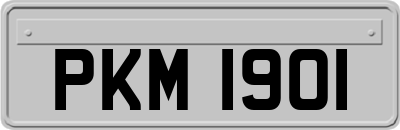 PKM1901