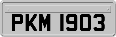 PKM1903