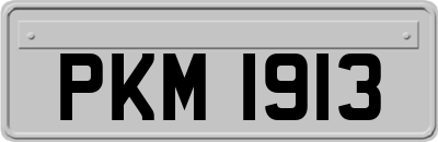 PKM1913