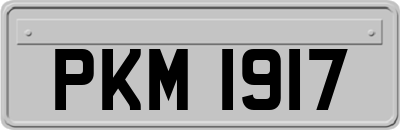 PKM1917