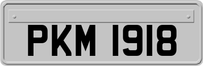 PKM1918