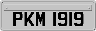 PKM1919