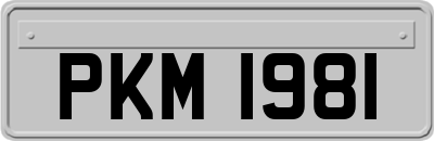PKM1981