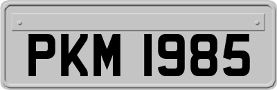 PKM1985