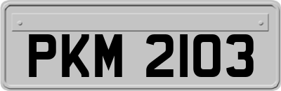 PKM2103