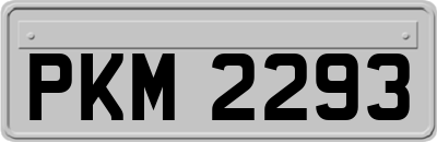PKM2293