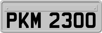PKM2300