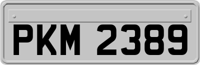 PKM2389