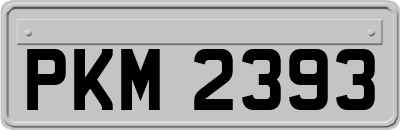 PKM2393