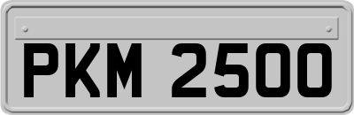 PKM2500