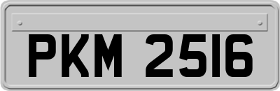 PKM2516