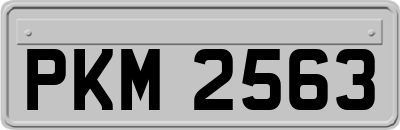 PKM2563
