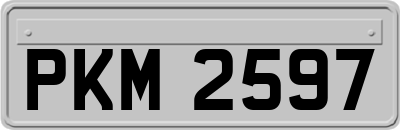 PKM2597